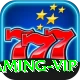 BG8888 Gaming VIP