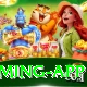 pkz88.pk Royal Gaming App